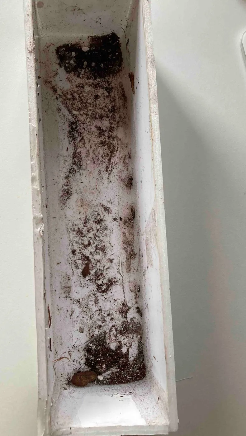 Inside of an emptied white foam planter mockup, streaked with dark residue and fragments left by bark and perlite