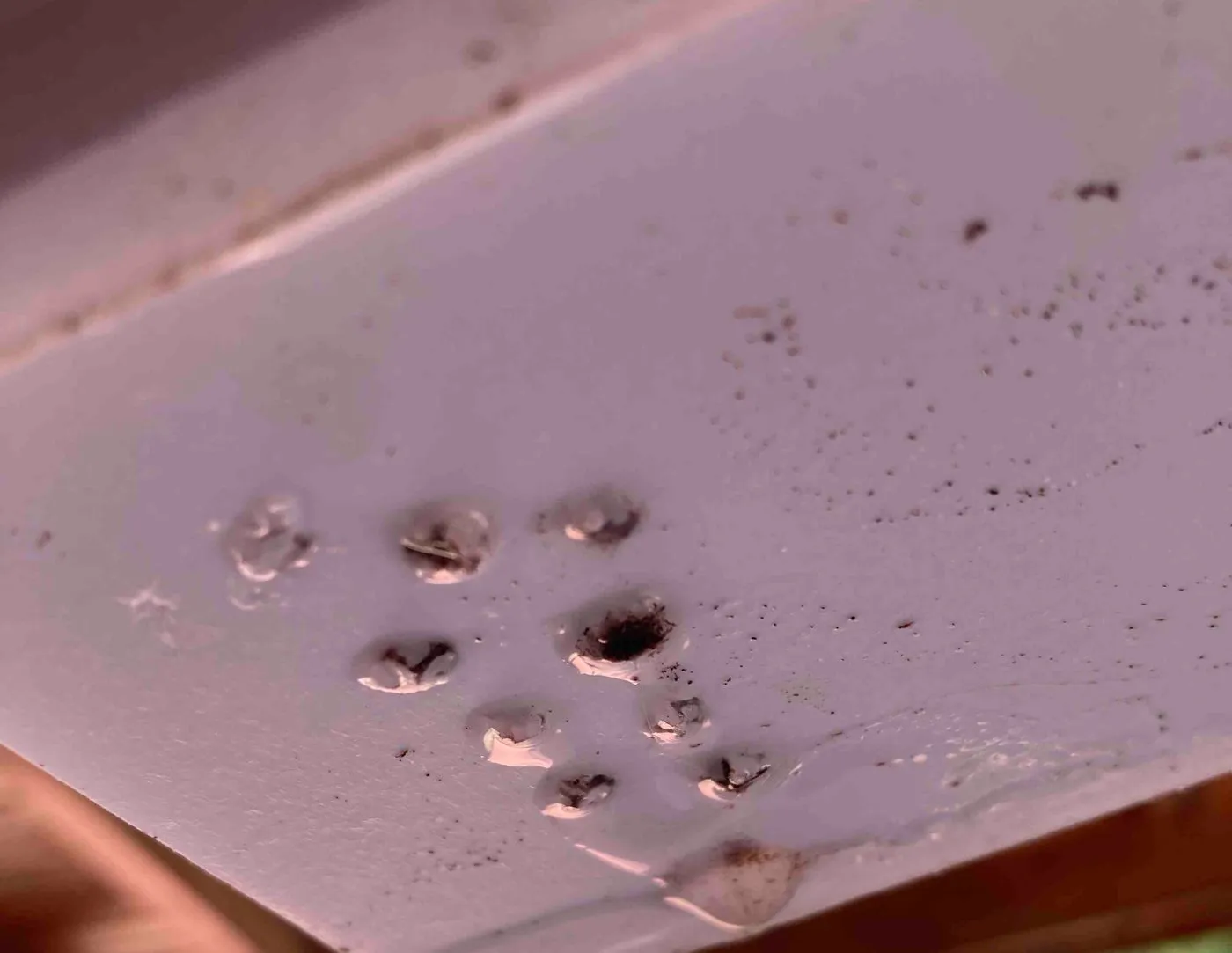 The underside of a white foam planter mockup with a cluster of small drain holes, several blocked with dark substrate fines