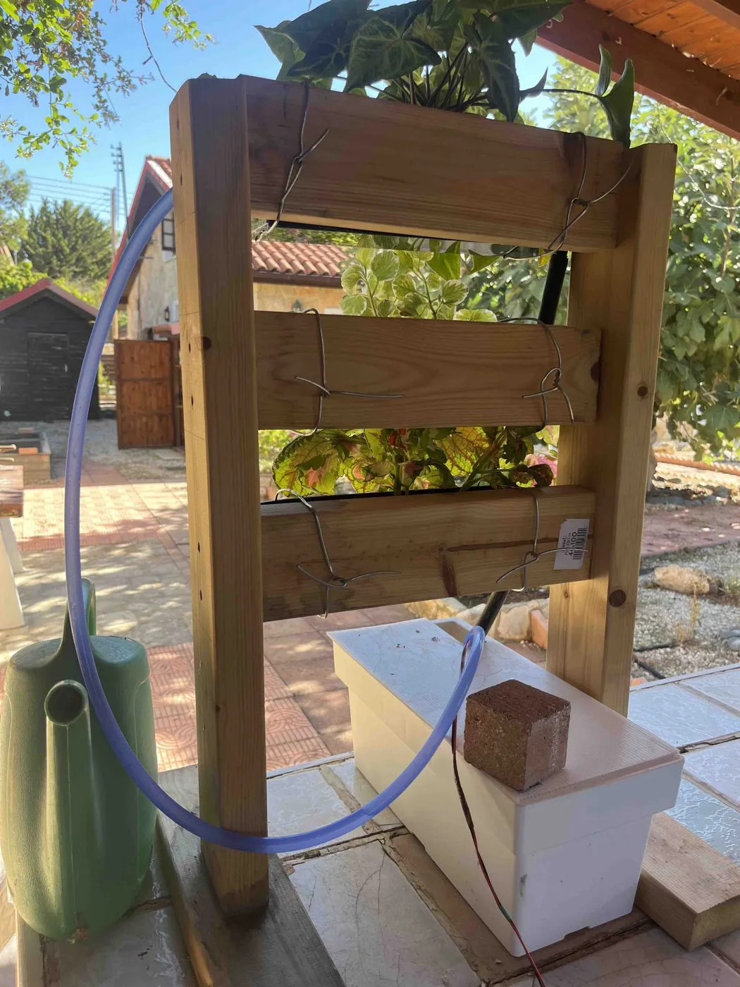 Back of Frankie's wooden stand showing a white reservoir box on the ground and a clear-blue silicone hose running up to the top planter