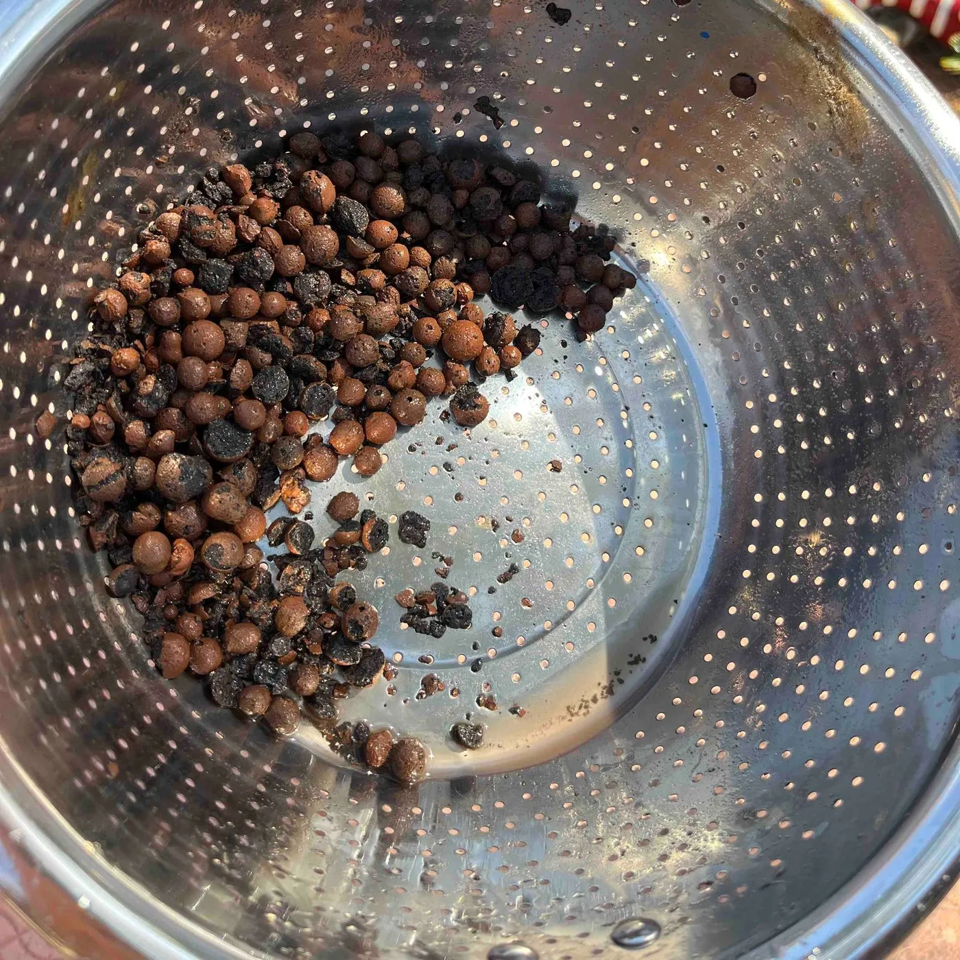 A few LECA pebbles left in a metal colander, surrounded by small dark chips and dust