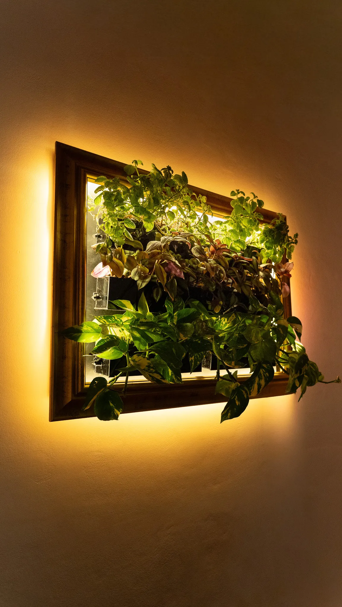 The prototype seen from the side at night, warm light glowing behind the frame.