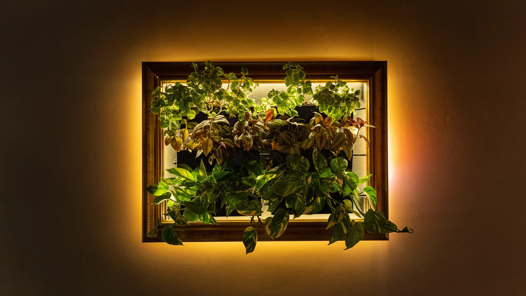 The prototype in the evening, its warm backlight washing the wall around the frame.