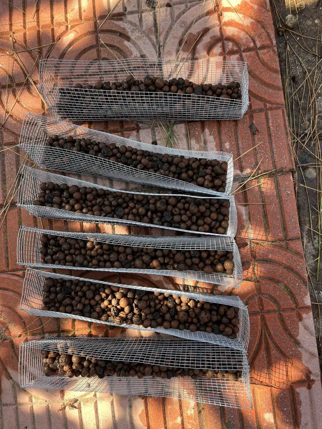 Six wire-mesh cups half-filled with LECA, laid out on terracotta paving.